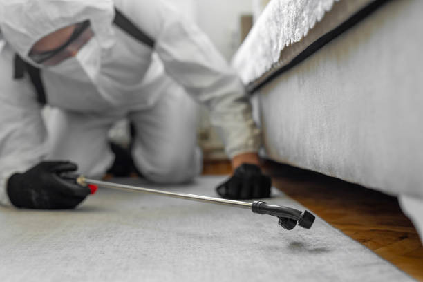 Professional Bed Bug Control technician working in Calera, OK