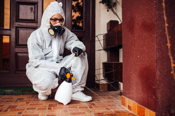 Reliable Bed Bug Control contractor in Calera, OK by Nex Pest Control